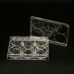 Steril Biyoteknoloji IVD Mikro Test Plakası Hücre ve Doku Kabı 48/96 Kuyulu Laboratuvar Hücre Kültürü Kuyu Plakası - Product Image 4