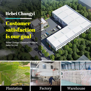 100% Oragnic天然野生細工のサンドライミズゴケ植物用格安価格様々なサイズカスタマイズ可能 - Product Image 6