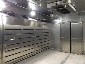Máquina Comercial Automática de Descongelación de Carne con Almacenamiento Térmico, Baja Temperatura y Alta Humedad para Conservación de Frescura - Product Image 3