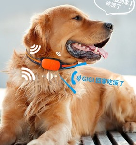 OEM 4G IP67 étanche Android IOS GPS Pet Tracker multifonction avec GPRS GSM Beidou AGPS en plastique PC Track View - Product Image 3