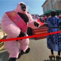 Costume de mascotte de gorille gonflable personnalisable, tenue de cosplay King Kong en fourrure pour les fêtes et la promotion de la marque
