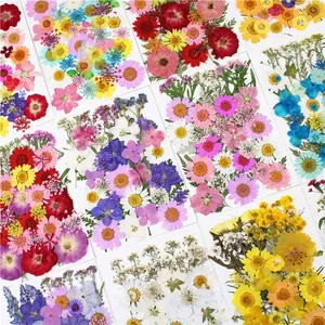 Kit de matériaux pour fleurs pressées DIY, kits combinés de Noël, marque-pages, coques de téléphone, maquillage époxy pour le visage pour la Fête <span class=keywords><strong>des</strong></span> Mères - Product Image 4