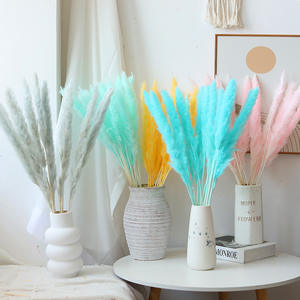 G45 Fluffy Pampas Grass Festival Adornos de Navidad Boda Flor seca esponjosa Reed Grass Real Natural Wild Luxury Pampas - Product Image 2