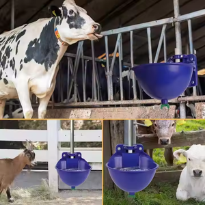 Gran oferta, cuenco <span class=keywords><strong>de</strong></span> agua <span class=keywords><strong>de</strong></span> plástico <span class=keywords><strong>para</strong></span> ganado, oveja, caballo, nueva condición, bebedero <span class=keywords><strong>de</strong></span> agua caliente, válvula <span class=keywords><strong>de</strong></span> flotador <span class=keywords><strong>para</strong></span> beber <span class=keywords><strong>de</strong></span> vaca <span class=keywords><strong>para</strong></span> el cuidado <span class=keywords><strong>de</strong></span> <span class=keywords><strong>caballos</strong></span> y ovejas - Product Image 2