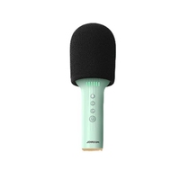 Microphone de karaoké sans fil à main BT pour le divertissement