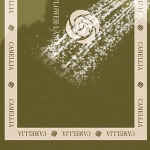 Tapis de salle de bain en tissu à motif géométrique carré rétro français, absorbant l'eau, antidérapant et résistant à l'usure - Product Image 4