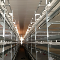 Système d'élevage automatisé en structure métallique pour bovins, porcs, poulets, chevaux, chèvres, abri, ferme, grange, élevage avicole, étable