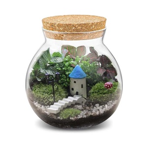 Set van 24 kleine glazen vazen, voor tafeldecoratie, bruiloft, receptie, huis, vintage flessen, transparant, decoratieve glazen vazen met deksels (24, rookgrijs