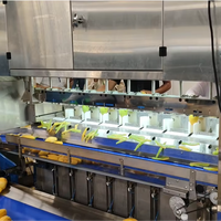 2000 Kg/u Industriële Mango Schilmachine Volautomatische Intelligente Fruit-En Groenteschilmachine