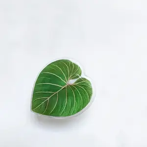 Acrylic Green Plant leaf fridge magnet flower decorative kitchen refrigerator magnet popular in Japan Korea home deco