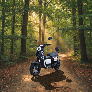 Motocicleta Urbana de Alta Capacidad de 72V - Velocidad de 65 km/h para Conducción Continua Durante Todo el Día - Product Image 6