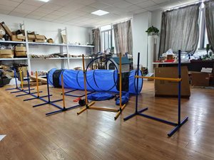 Gran oferta, juego de entrenamiento de agilidad <span class=keywords><strong>para</strong></span> <span class=keywords><strong>perros</strong></span>, carrera de obstáculos <span class=keywords><strong>para</strong></span> <span class=keywords><strong>perros</strong></span>, Kit de inicio de entrenamiento, poste de salto <span class=keywords><strong>para</strong></span> <span class=keywords><strong>perros</strong></span> de agilidad exterior - Product Image 2