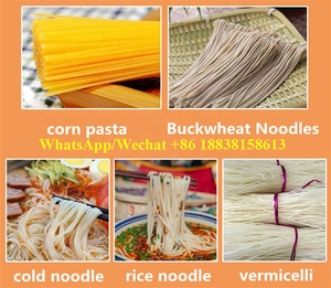 Máquina extrusora de pasta de fideos de arroz, fabricante profesional de congelación de férula de soja Mung, alta calidad - Product Image 6