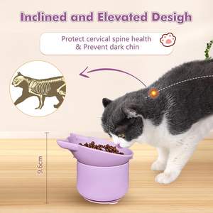 New <b>Silicone</b> Double <b>Bowl</b> Set 2 in 1 Adjustable Elevated Cat Slow Feeders <b>Bowl</b> Spine Protection Cat Water Food <b>Bowl</b> - Product Image 4
