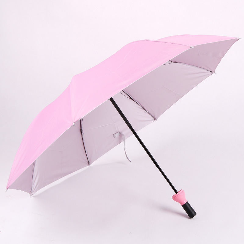 rosa 05