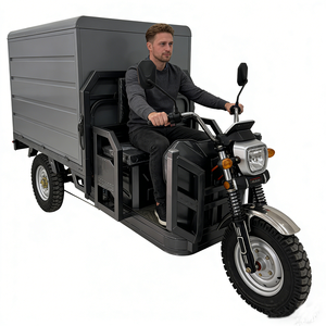 Vélo électrique à 3 roues, tricycle électrique pour adultes, tricycle pour passagers de camping-car avec homologation EEC - Product Image 6
