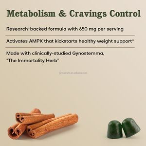 Gomitas Metabolizantes con Sabor a <span class=keywords><strong>Mango</strong></span> de Marca Privada con Canela, Vinagre de Sidra de Manzana y Gynostemma - Product Image 3