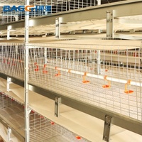 Cages commerciales entièrement automatiques pour poulets de chair à plusieurs niveaux pour ferme avicole élevage de poulets de chair forme de poussins