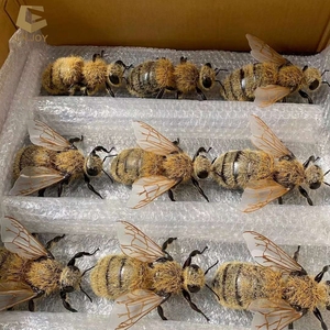 แมลงบินได้เหมือนจริงรูปสัตว์สำหรับตกแต่งสวน SGAA09 - Product Image 5