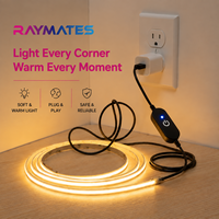 Bande lumineuse LED COB dimmable USB Raymates 5V 5mm Mini 480 LED Effet Météore 7W/m pour la maison, rouleau de 100m, Striscia Led Tira Led