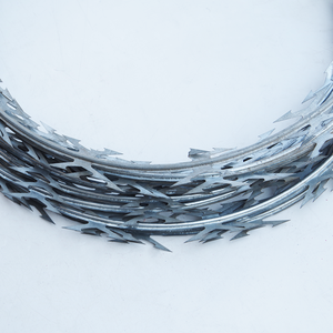 Fil de fer <span class=keywords><strong>barbelé</strong></span> galvanisé anti-escalade, lames de protection, épines en acier inoxydable, fil de <span class=keywords><strong>barbier</strong></span> - Product Image 4