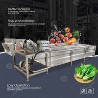 Luchtbel Bladgroenten Automatische Wasmachine Groente-en Schone Productie Lijn Plantaardige Wasmachine Industrie