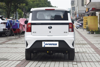 Mini Auto Eléctrico LinkTour BinFen de 4 Plazas, Conducción por la Izquierda, Transmisión Automática, Batería de Litio, Vehículo de Nueva Energía