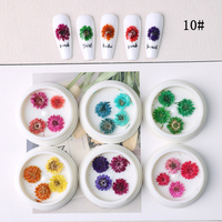 Mini fleurs séchées naturelles en plastique en gros pour nail art DIY
