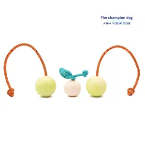 Balle <span class=keywords><strong>d</strong></span>'entraînement en toile <span class=keywords><strong>pour</strong></span> <span class=keywords><strong>chien</strong></span> factice Jouet interactif <span class=keywords><strong>pour</strong></span> animaux de compagnie Balle à mâcher robuste <span class=keywords><strong>pour</strong></span> l'entraînement à l'<span class=keywords><strong>obéissance</strong></span> - Product Image 1
