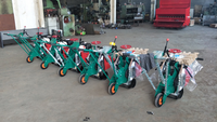 Tondeuse de jardin Machine de fabrication d'herbe Machine de découpe et de repiquage de gazon Rouleau de pelouse