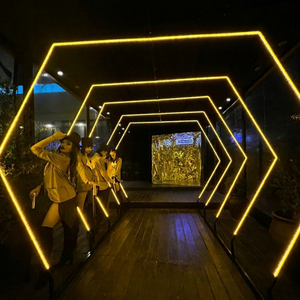 Túnel LED Gigante con Marco Luminoso, Decoración Romántica para Caminos Exteriores, Fondo RGB, Efecto Túnel Brillante - Product Image 1
