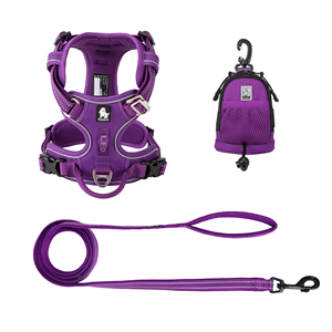 Truelove Großhandel Langlebiges Premium Hundegeschirr mit Kotbeutelspender Reflektierendes Nylon Luxus Heiß Verkauf Haustier Halsbänder Leinen Set Zubehör - Product Image 1