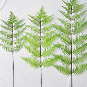 ต้นเฟิร์นประดิษฐ์ขนาดใหญ่สำหรับตกแต่งห้างสรรพสินค้าและร้านค้า ใบ<span class=keywords><strong>เฟิร์น</strong></span>สไตล์ป่าไม้ ต้นไม้ประดิษฐ์สีเขียว - Product Image 3