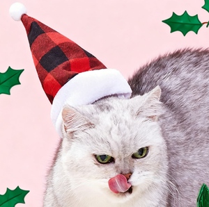 Meilleures ventes en gros d'usine, chapeaux pour animaux de compagnie en velours rayé multicolore de Noël, pour chats et chiens - Product Image 4