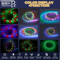 Tira de LED RGB direccionable SK6812 en forma de S, 5V, 60 LED, flexible, programable, digital, para letras de canal.