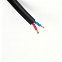 Câble de haut-parleur professionnel 2 x 4 mm OFC biaxial non blindé 100 m, gaine PVC bleue, marque OEM pour l'audio