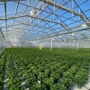 Invernadero de Vidrio Multiusos con Estructura de Acero Galvanizado por Inmersión en Caliente, de Alta Resistencia, con Control Climático Inteligente y Alta Transmitancia de Luz - Product Image 3