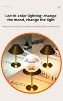 Lampe de table en forme de champignon conique, métal, luminosité réglable, blanc chaud, interrupteur tactile, batterie rechargeable, hôtels, chambres