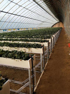 Système de culture hydroponique à canal en PVC pour la culture des <span class=keywords><strong>fraises</strong></span> Système hydroponique vertical - Product Image 3