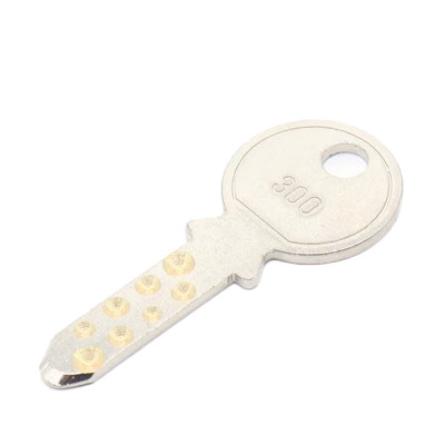 Suit for -Schindler- elevator key type 300