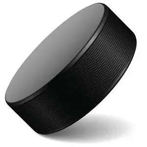 Professionele Oem Op Maat Gemaakte Logo Afdrukken Rubber Ijs Puck Hockey Puck