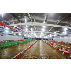 Ferme avicole gà Coop hen nhà đúc sẵn xây dựng Gà Gia cầm nông nghiệp dự án - Product Image 5