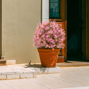 نباتات خارجية مقاومة للأشعة البنفسجية مع شجيرات صناعية سبايك لديكور المنزل - Product Image 5