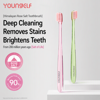 Brosse à dents à tête petite pour un nettoyage en profondeur, poils en sel rose de l'Himalaya, micro-pointe de 0,01 mm, soin des gencives, brosse dentaire pour adultes, logo personnalisé OEM