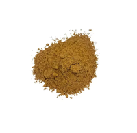 Mélange de café instantané en poudre aux champignons OEM/ODM, mélange de latte au café, Reishi et probiotiques pour adultes et femmes enceintes