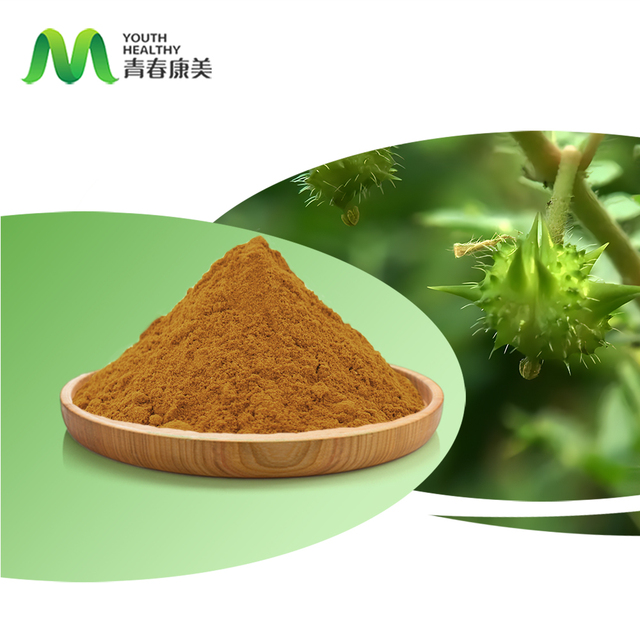Tribulus Terrestris Supplement Bulk Natural Extrato Ttribulus Terrestris Fruit Extract Powder 95% for Bodybuilding
