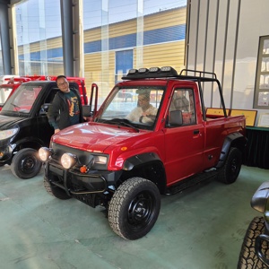 Mini camionnette électrique de fabrication chinoise pour le transport, écoénergétique, autonomie <100 km, poids léger 780 kg, véhicule neuf - Product Image 6