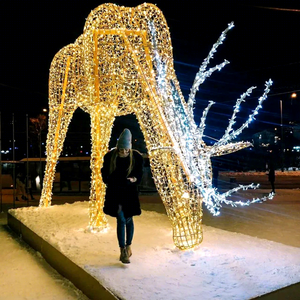 Décoration de Noël extérieure étanche IP65 avec motif cerf LED 3D, lumière blanc chaud 2700K, AC 220V, installation par projection - Product Image 1