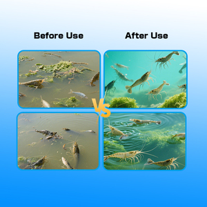 โปรไบโอติก <span class=keywords><strong>EM</strong></span> ประสิทธิภาพสูง - ย่อยสลายของเสียและปรับสมดุลสาหร่ายและสารอาหาร สารเสริมโภชนาการสำหรับอาหารสัตว์ - Product Image 4