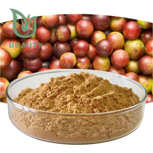 Органический сублимированный экстракт Каму, порошок с высоким содержанием витамина С, суперпродукт для иммунной поддержки, мешок для здоровья кожи, оптом поставщик - Product Image 1